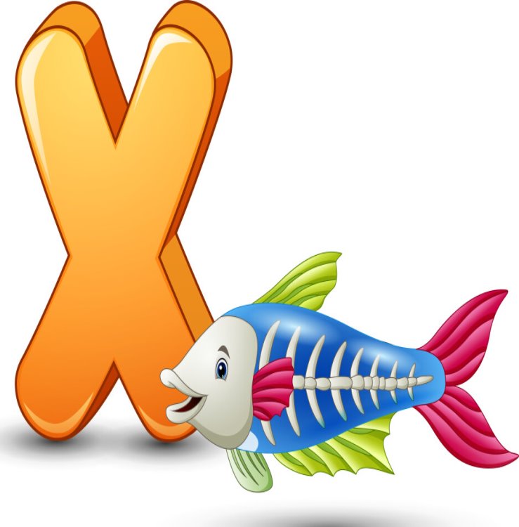 Letter x is for x-ray fish cartoon alphabet Vector Image